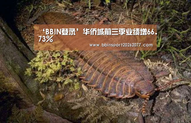 BBIN入口