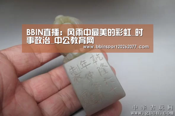 BBIN直播：风雨中最美的彩虹_时事政治_中公教育网
