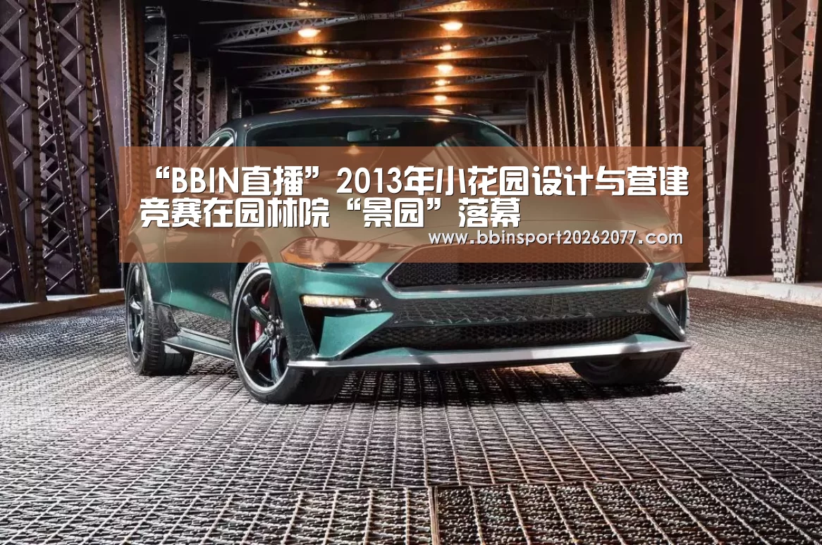 BBIN直播