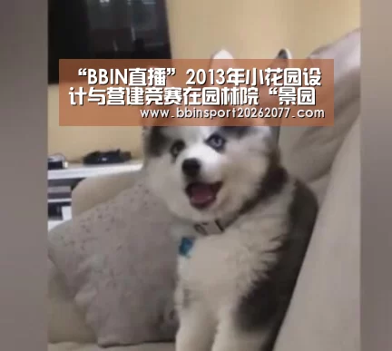 BBIN官网