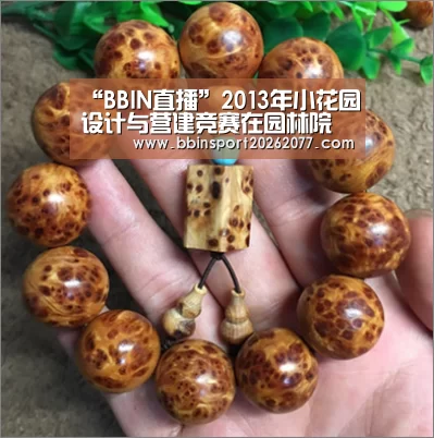 BBIN登录