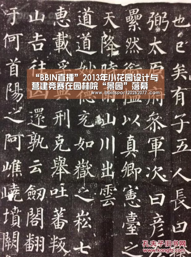 BBIN直播