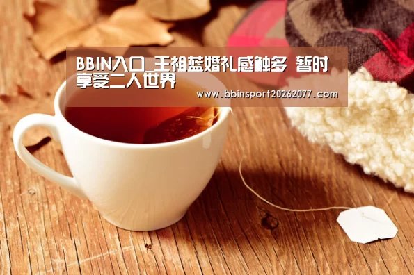BBIN官网
