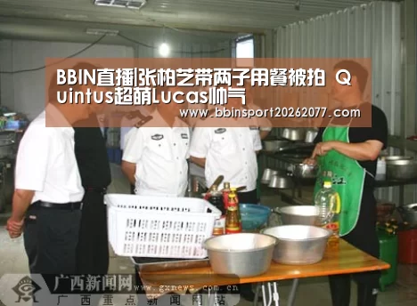 BBIN登录