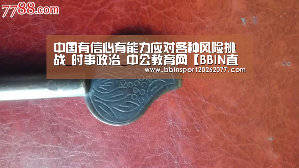 中国有信心有能力应对各种风险挑战_时事政治_中公教育网【BB