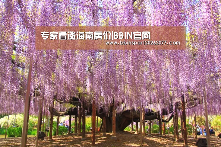 BBIN入口