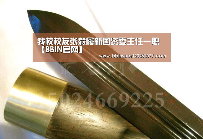 BBIN官网