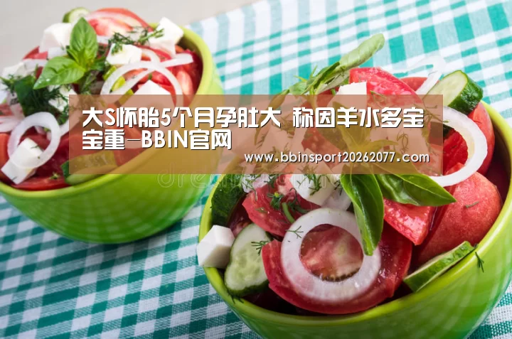 BBIN登录
