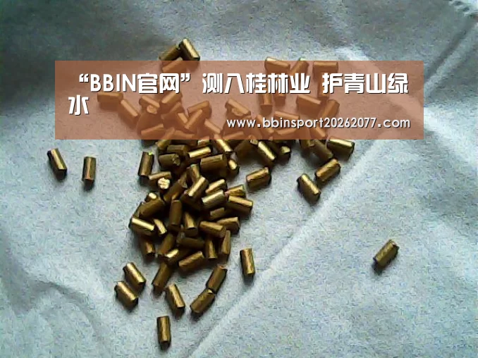 BBIN登录