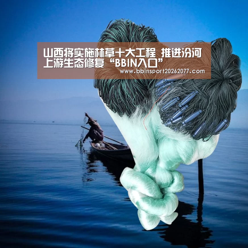 BBIN登录