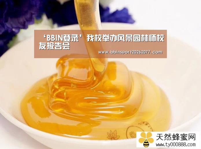 BBIN登录