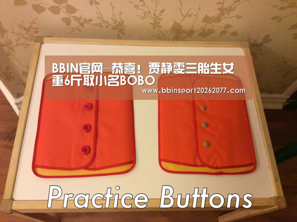 BBIN登录