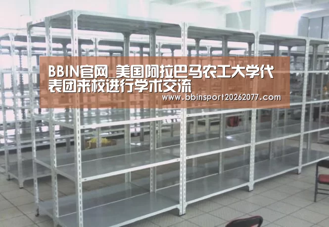 BBIN登录